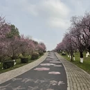 杭州旅游 缩略图 7
