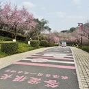 杭州旅游 缩略图 8