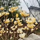 杭州旅游 缩略图 2