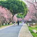 杭州旅游 缩略图 10