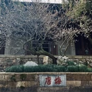 杭州旅游 缩略图 7