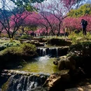 杭州旅游 缩略图 1