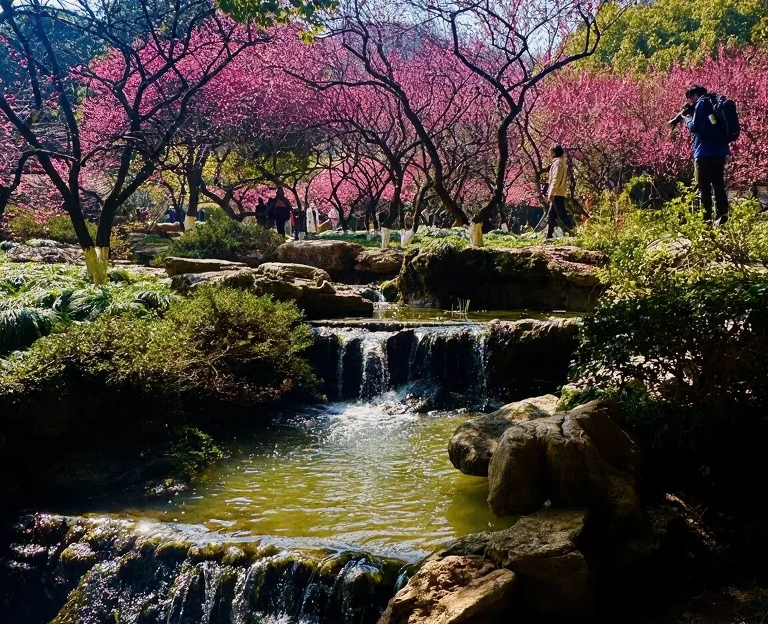 杭州旅游 1