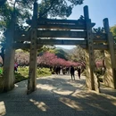 杭州旅游 缩略图 11