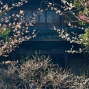 杭州旅游 缩略图 9