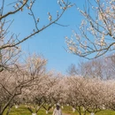 杭州旅游 缩略图 3