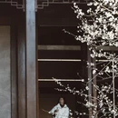 杭州旅游 缩略图 8