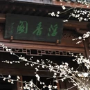 杭州旅游 缩略图 10