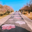 杭州旅游 缩略图 6