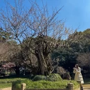 杭州旅游 缩略图 11