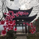 杭州旅游 缩略图 7