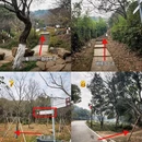 杭州旅游 缩略图 4