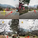 杭州旅游 缩略图 3