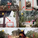杭州旅游 缩略图 14