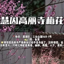 杭州旅游 缩略图 3