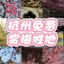 杭州旅游 缩略图 1