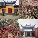 杭州旅游 缩略图 15