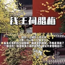 杭州旅游 缩略图 7