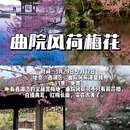 杭州旅游 缩略图 5