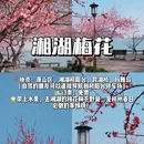 杭州旅游 缩略图 2