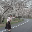 上海旅游 缩略图 3