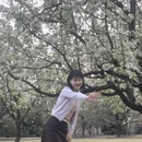 上海旅游 缩略图 6