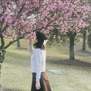 上海旅游 缩略图 5