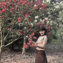 上海旅游 缩略图 10