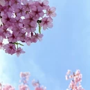 上海旅游 缩略图 3