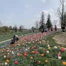 上海旅游 缩略图 5