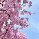 上海旅游 缩略图 10