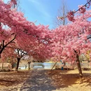 上海旅游 缩略图 4
