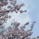 上海旅游 缩略图 7