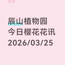 上海旅游 缩略图 1