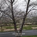 上海旅游 缩略图 8
