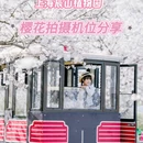 上海旅游 缩略图 1
