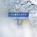 上海旅游 缩略图 3