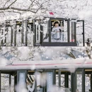 上海旅游 缩略图 5