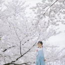 上海旅游 缩略图 11