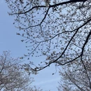 上海旅游 缩略图 3