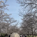 上海旅游 缩略图 2