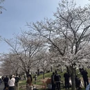 上海旅游 缩略图 6