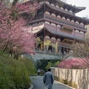 杭州旅游 缩略图 2