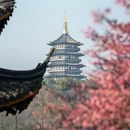 杭州旅游 缩略图 4