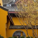 杭州旅游 缩略图 7