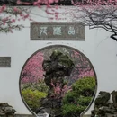 杭州旅游 缩略图 9
