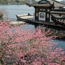 杭州旅游 缩略图 6