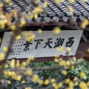 杭州旅游 缩略图 5