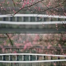 杭州旅游 缩略图 11