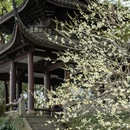 杭州旅游 缩略图 15